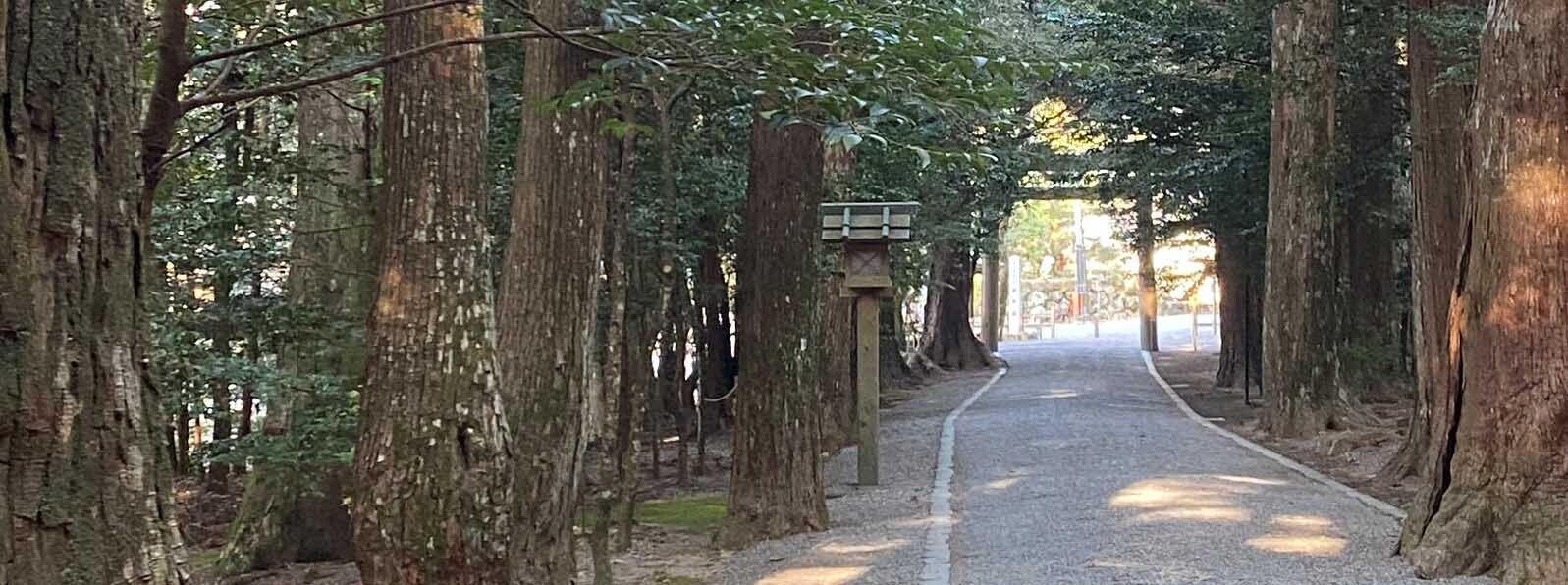 【No354仕事力】IAマップと仕事力 「53 問題解決力」問題解決脳 ①