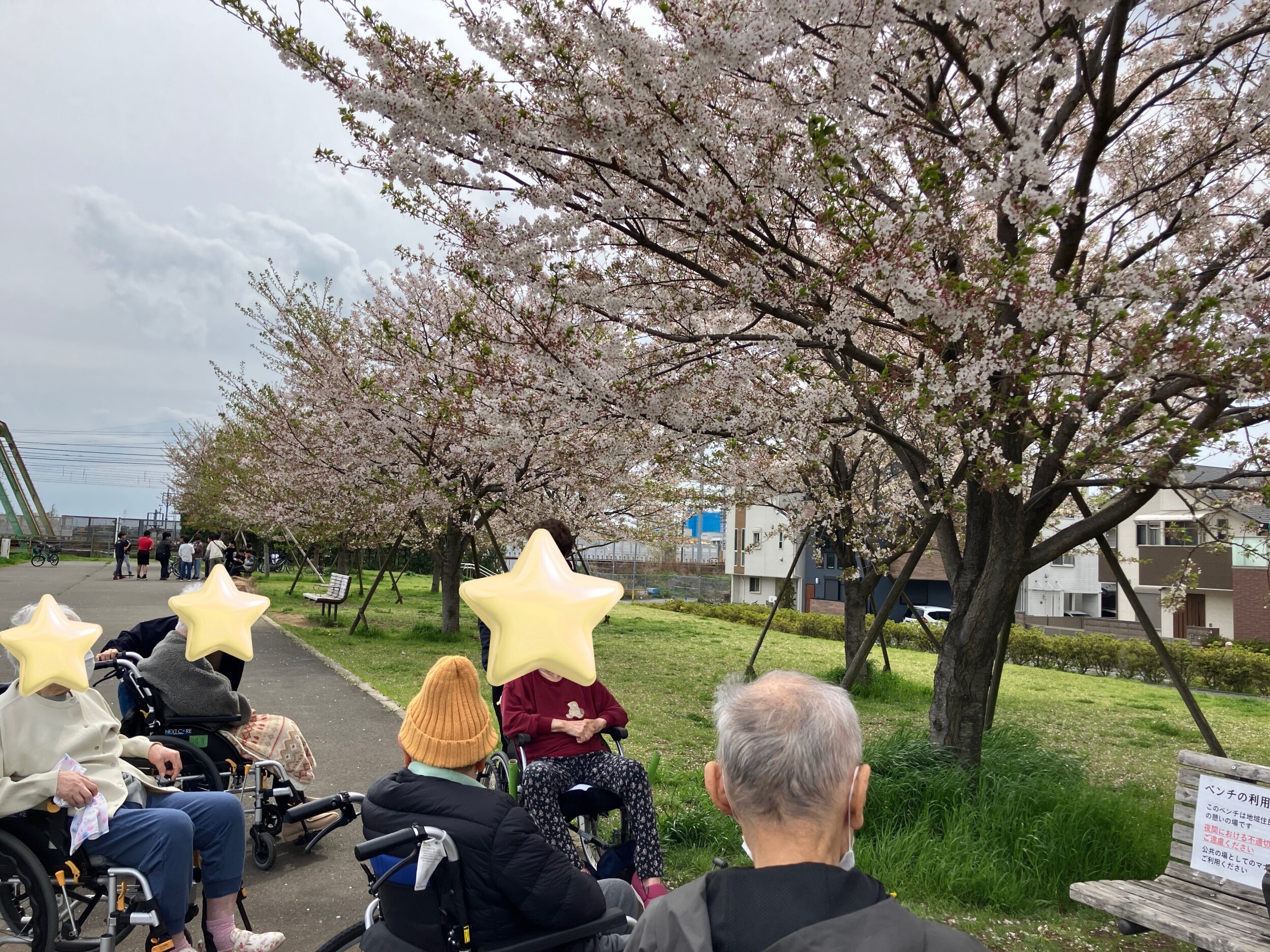 春のお出かけ ～江戸川の桜を見に行きました～