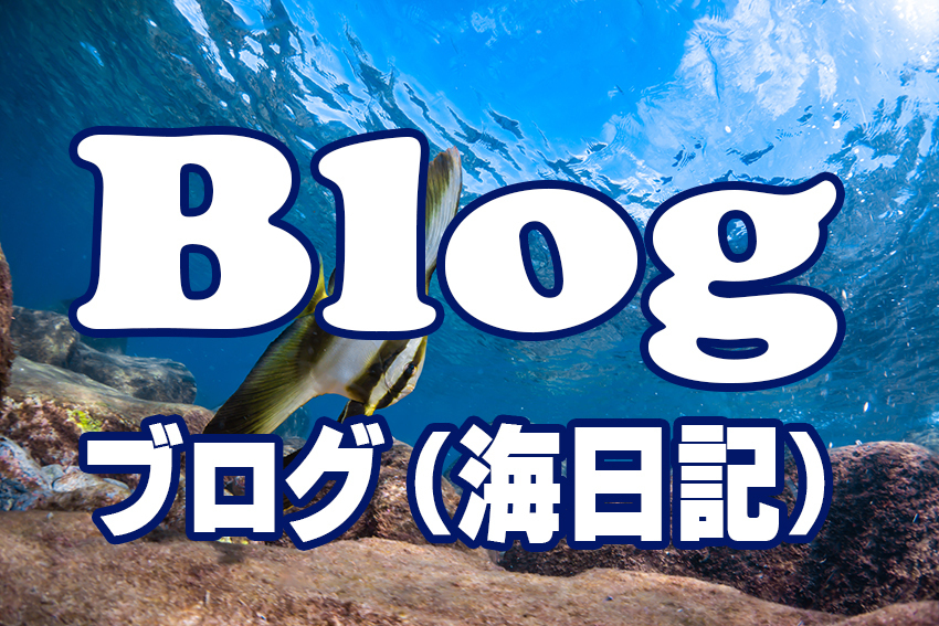テストタイトル