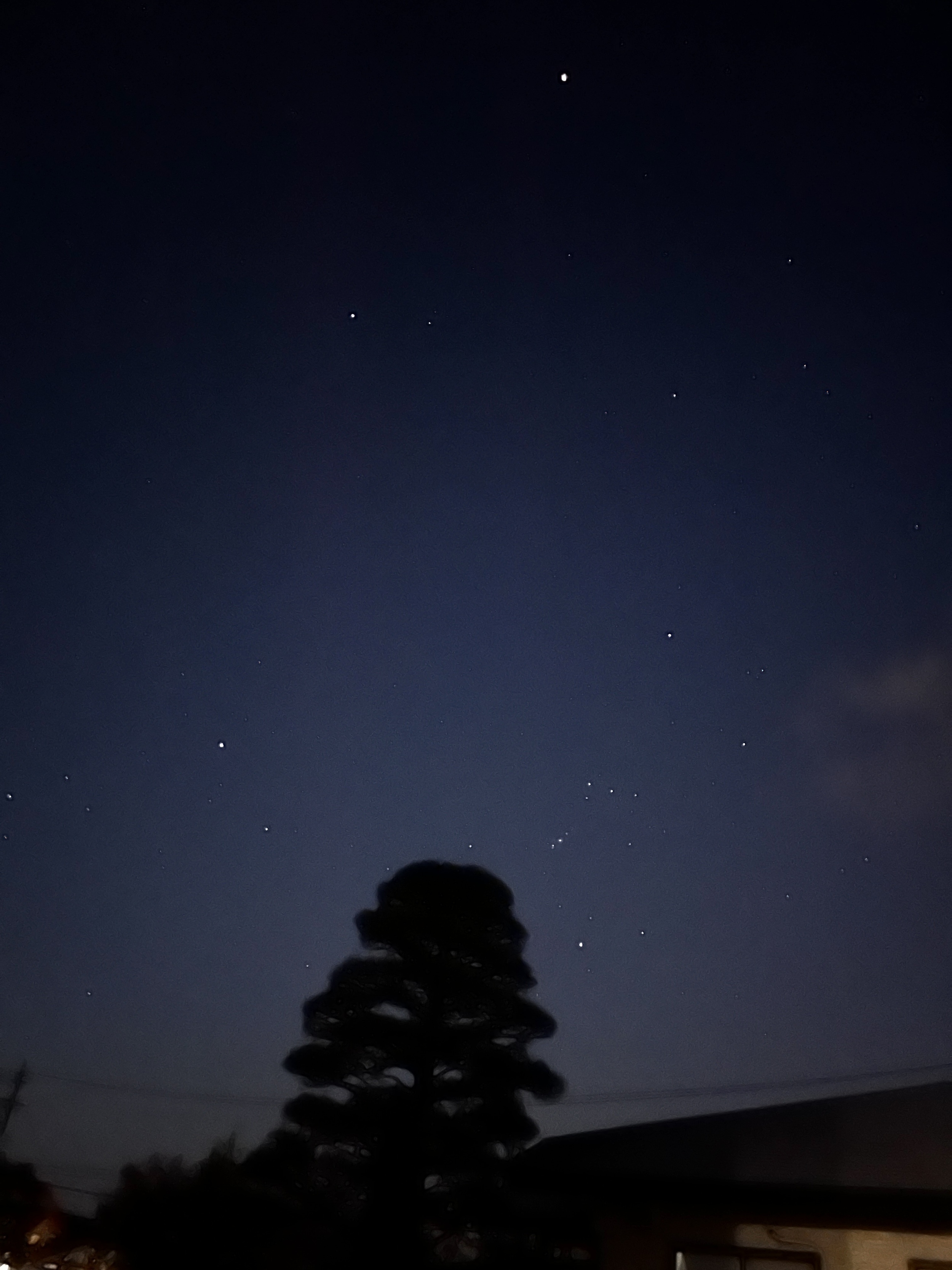 リビングルームでコンサートを♪