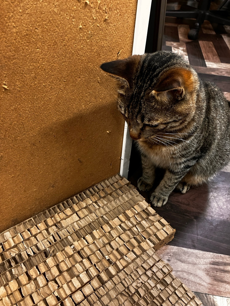猫の爪とぎ作り