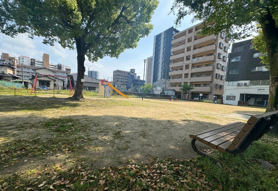 公園清掃の様子です🌼