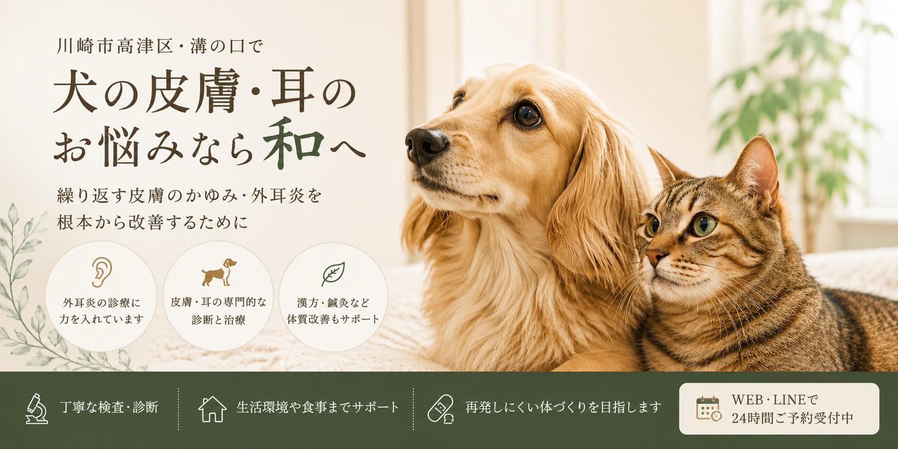 外耳炎を繰り返していた症例