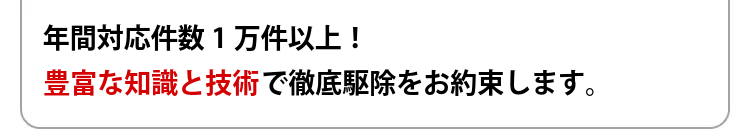 After Image