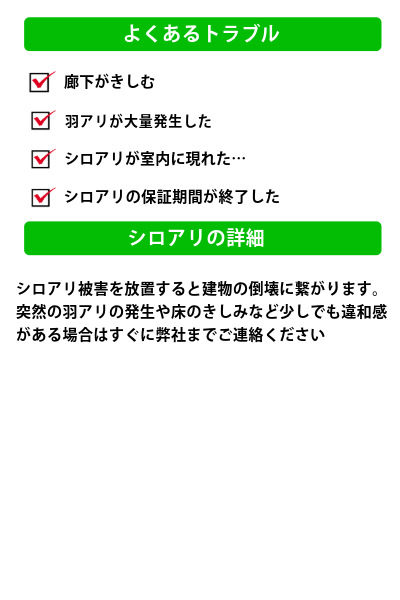 After Image