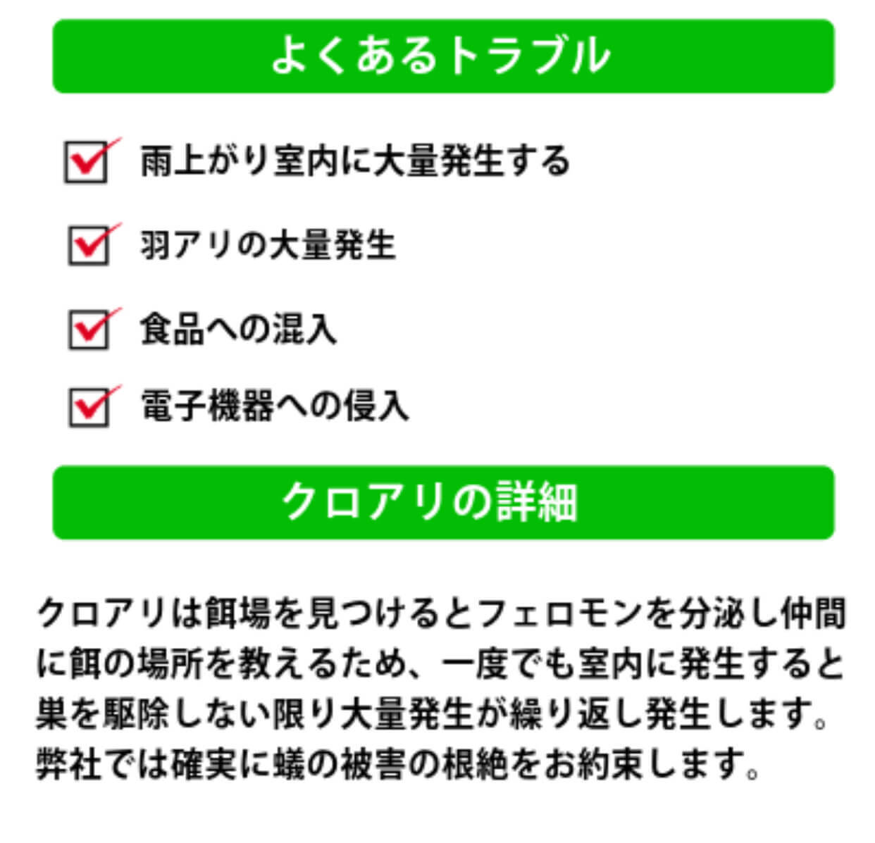 After Image
