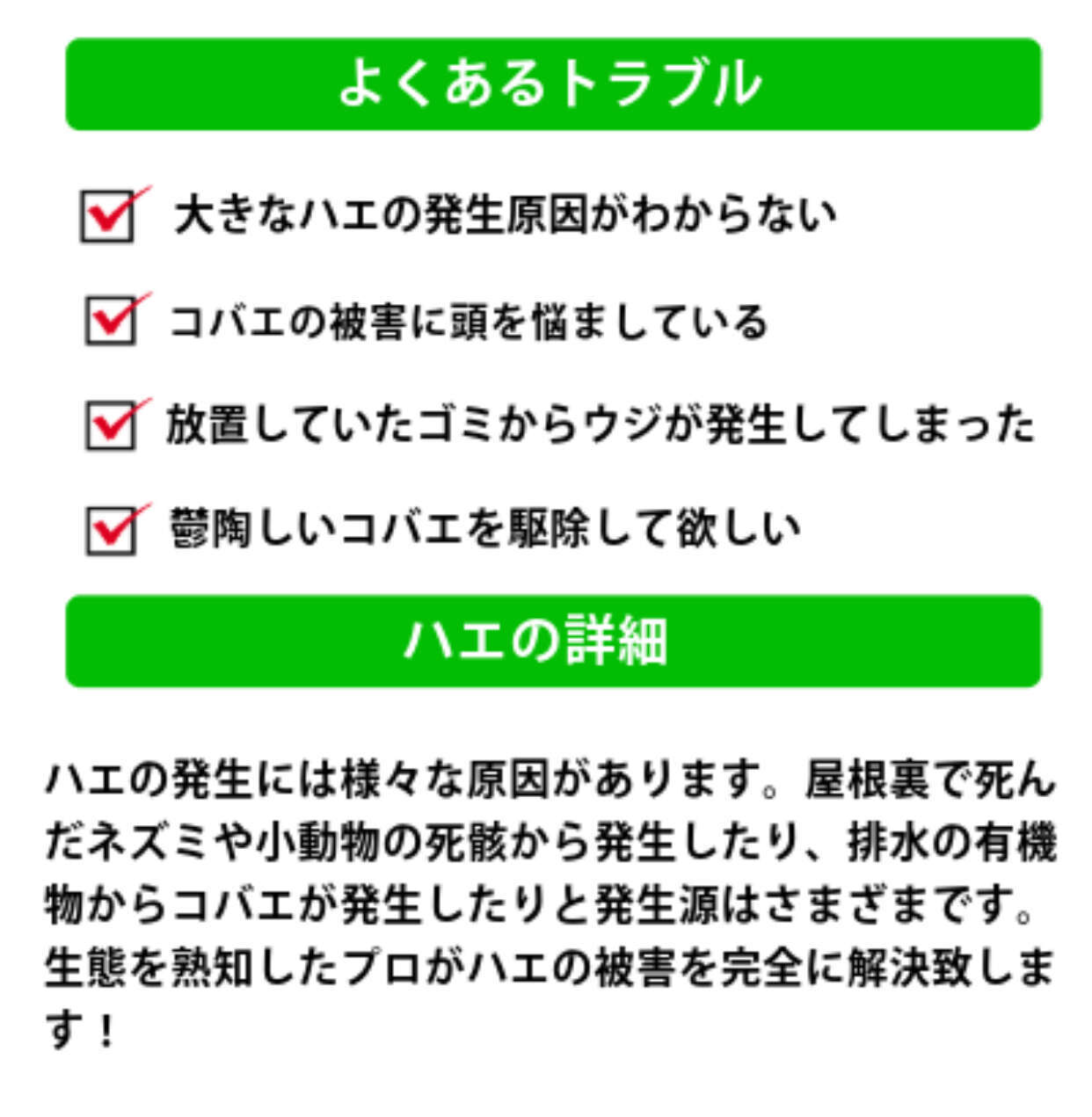 After Image