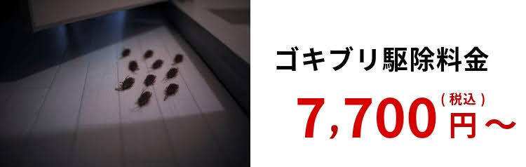 ゴキブリ