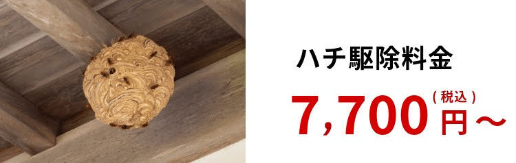ハチ