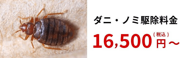 ダニ