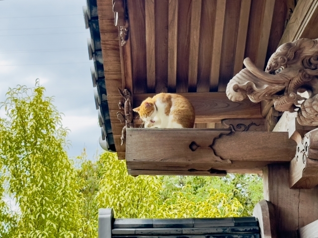 自分の命は自分のものなんて悲しいよ。