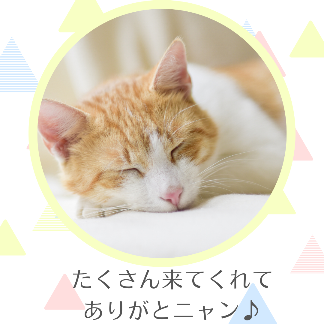 ロゴ画像