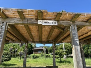 2026/08/01　県民の浜に海水浴に行きました