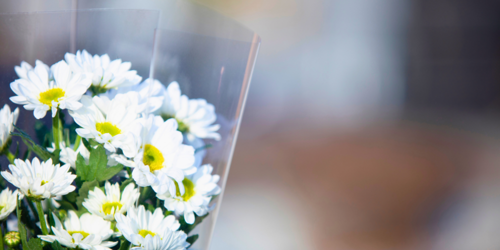 お墓の引っ越しとは？改葬の意味と流れをわかりやすく解説