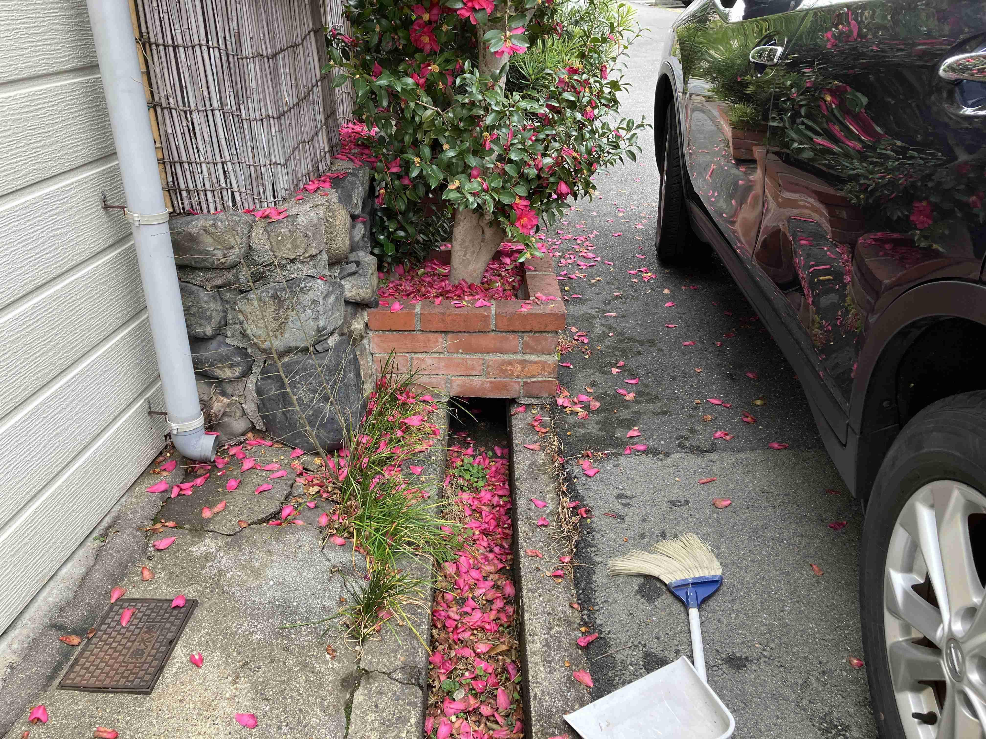 ◆見守り電球の撤去（豊中市：令和８年２月）