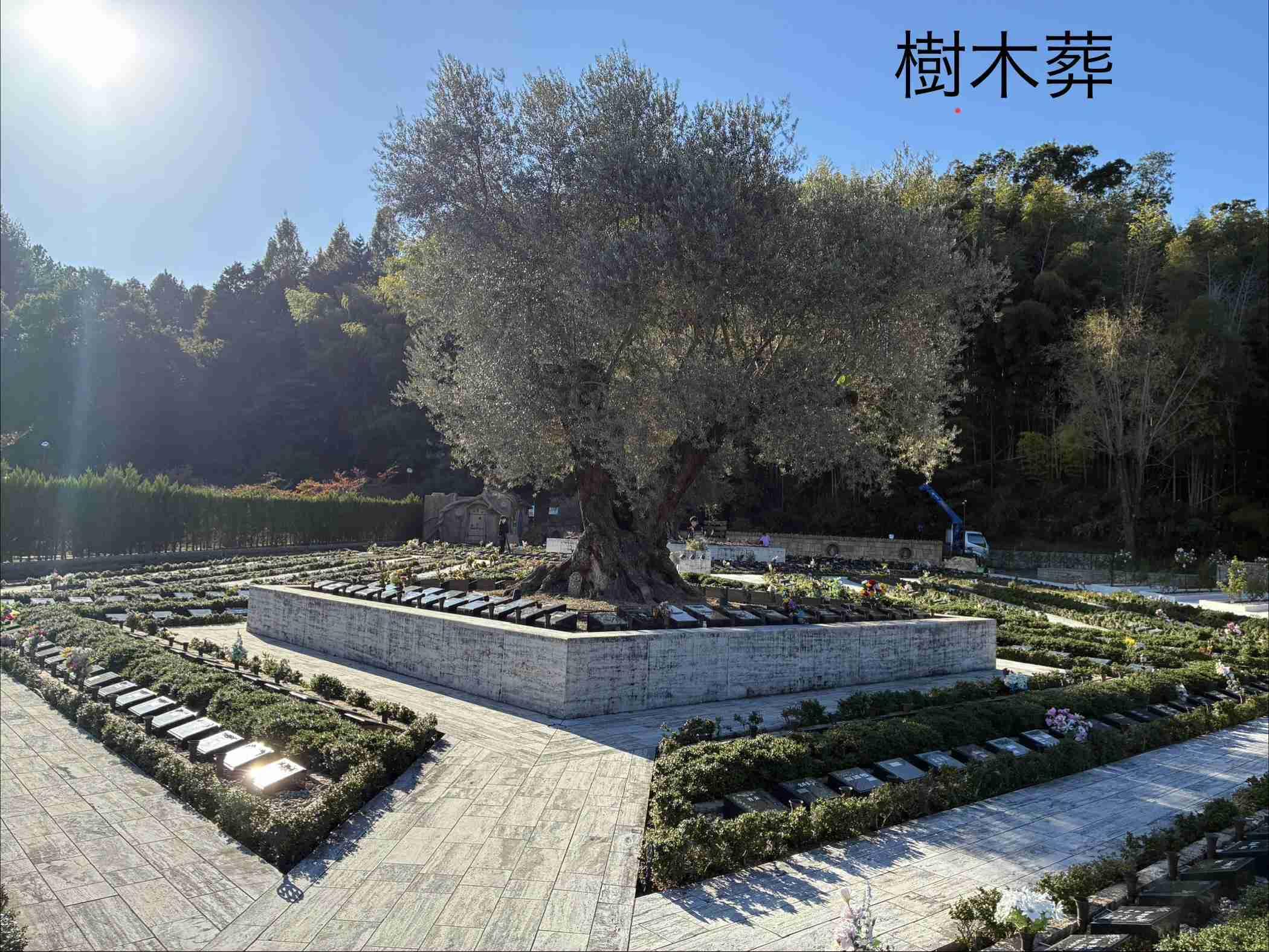 ◆樹木葬の下見（枚方市：令和８年１０月）