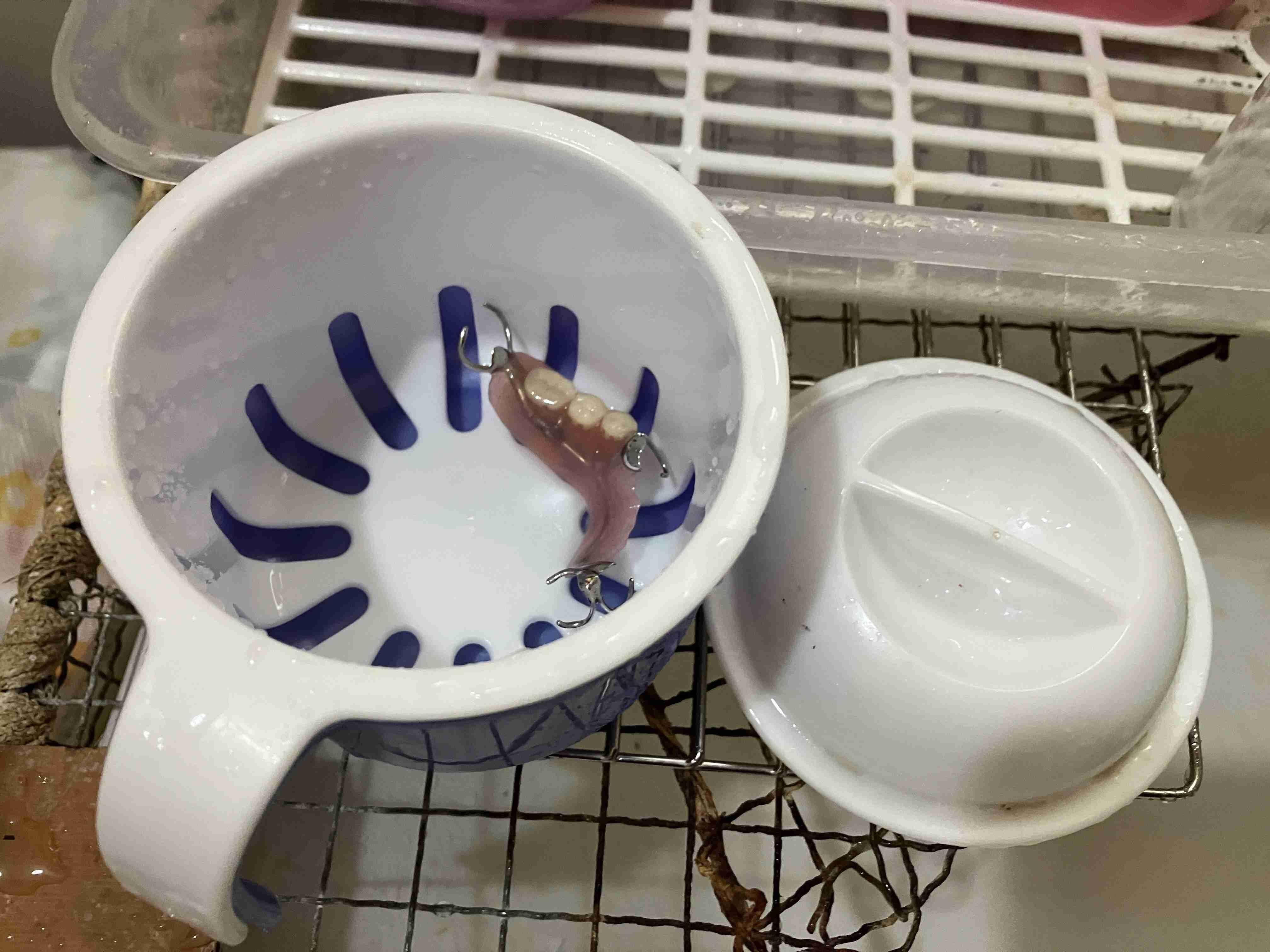 ◆入れ歯を持参（豊中市：令和７年１２月）