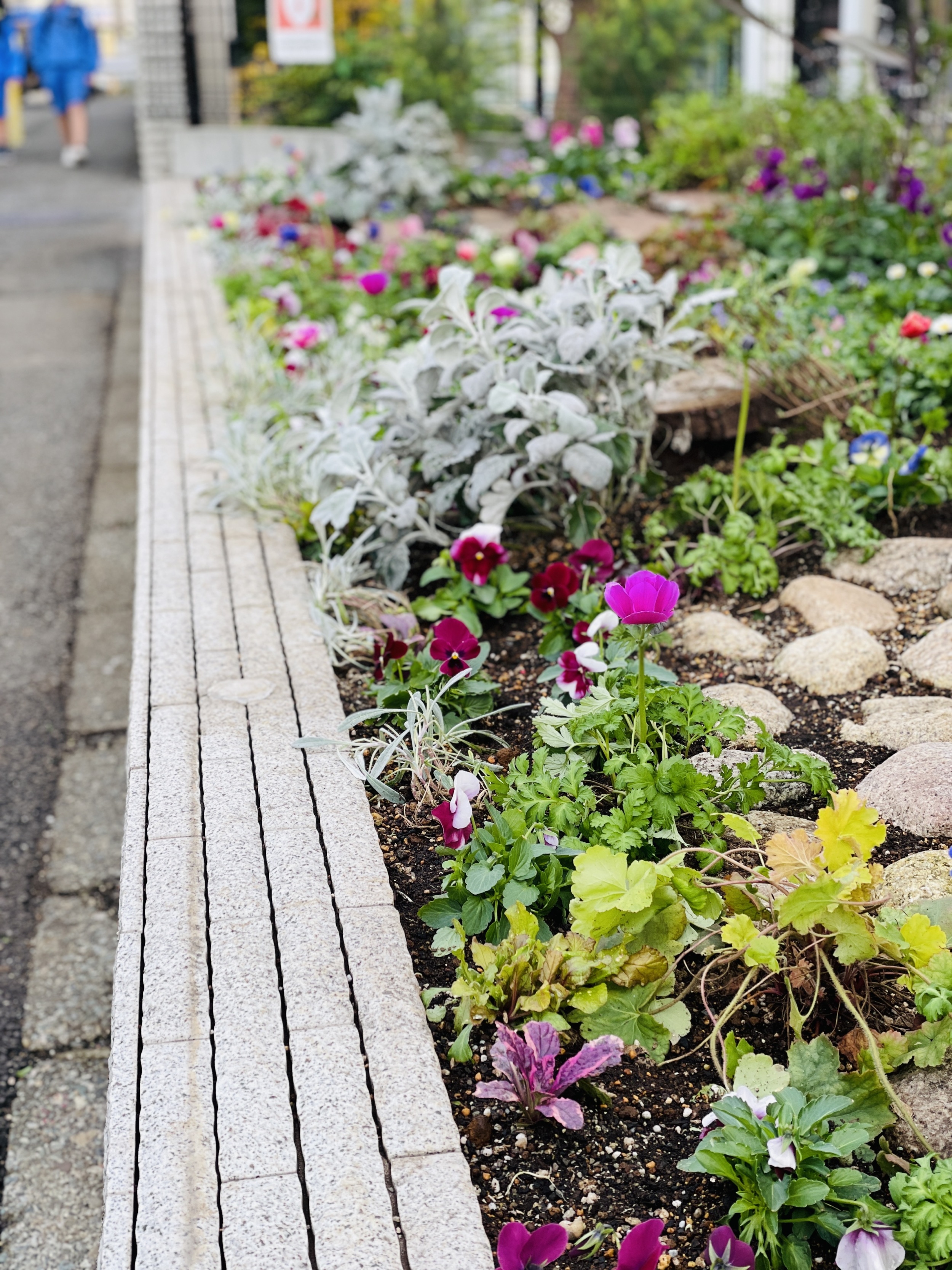 【現場レポート】会社の花壇を植え替え。小さな現場に大きなやりがい