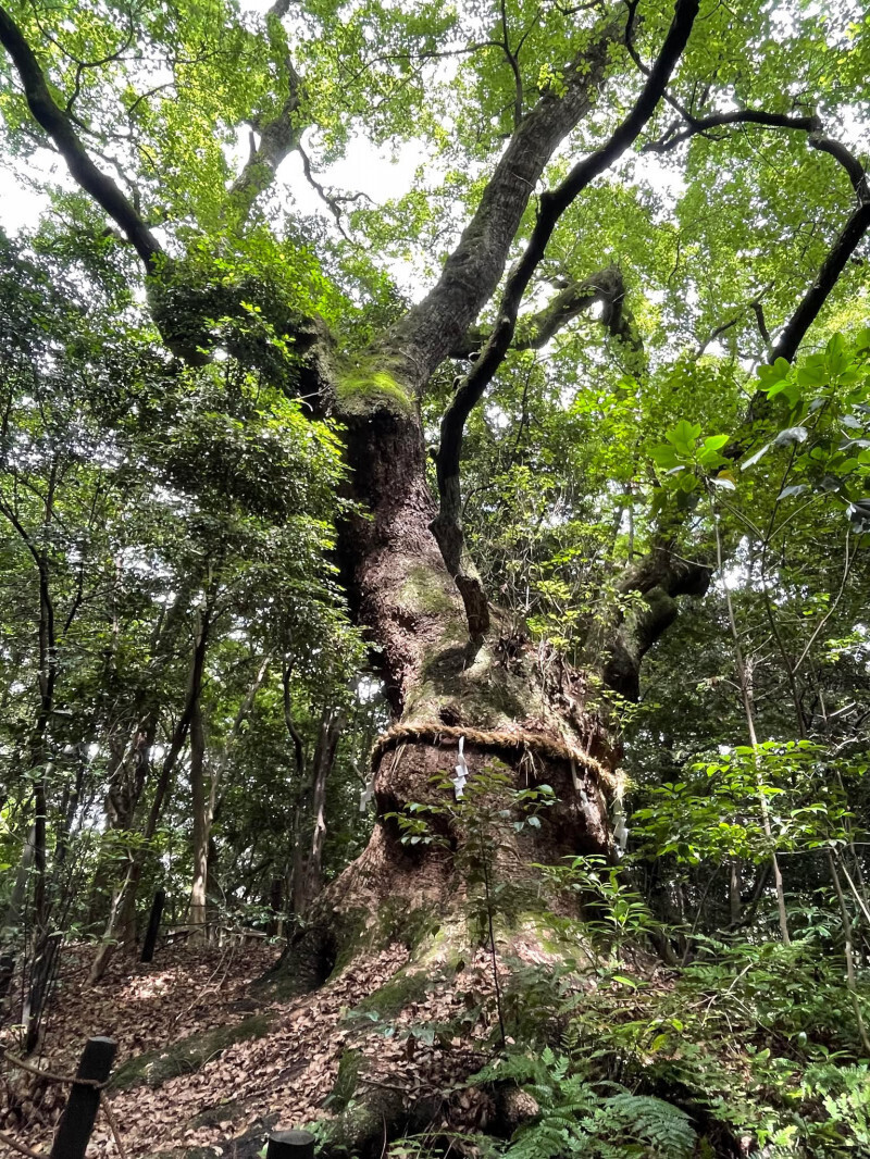 【建設業】株式会社錢高組 名古屋支店｜安全大会講演 実施レポート