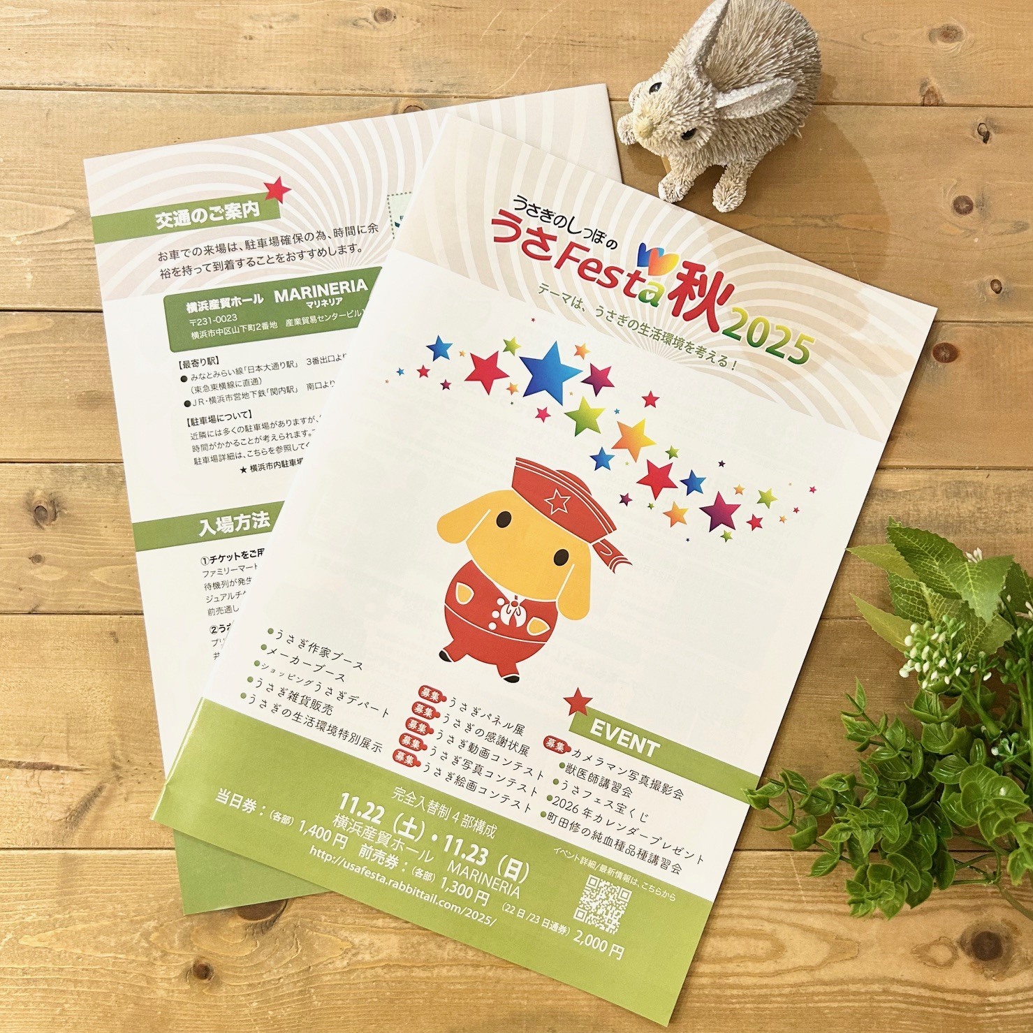 うさフェスタ 2025秋参戦決定!