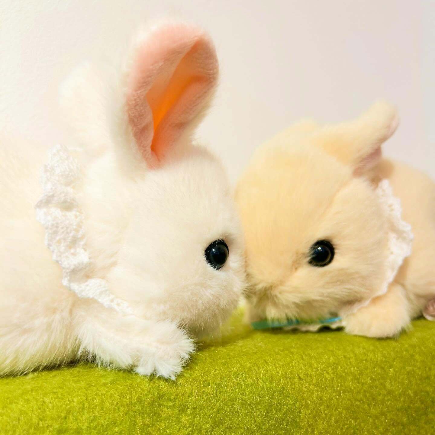 ちもしぃらびっつ（うさぎのぬいぐるみ）新入荷のお知らせ