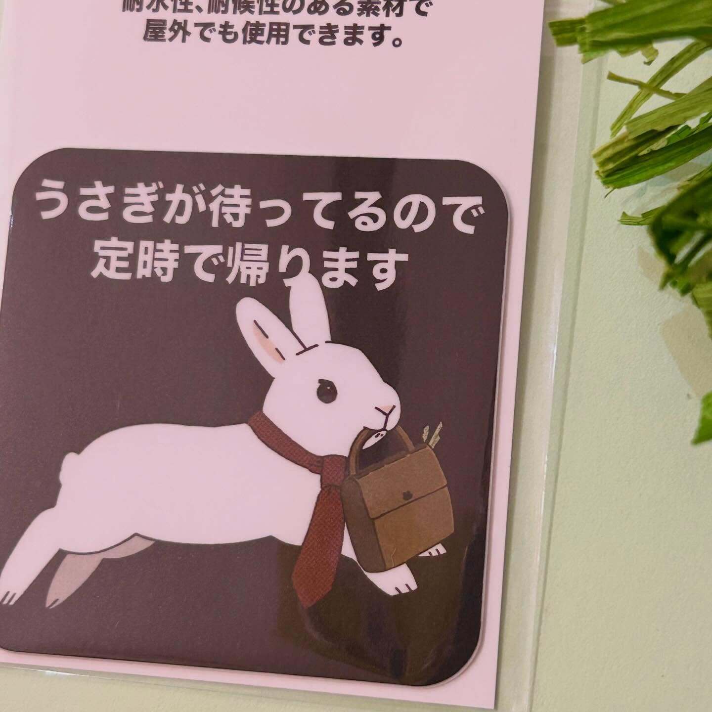 ウサギノシモベ 新作入荷|うさぎのお守りキーホルダー・マグネット・Tシャツ