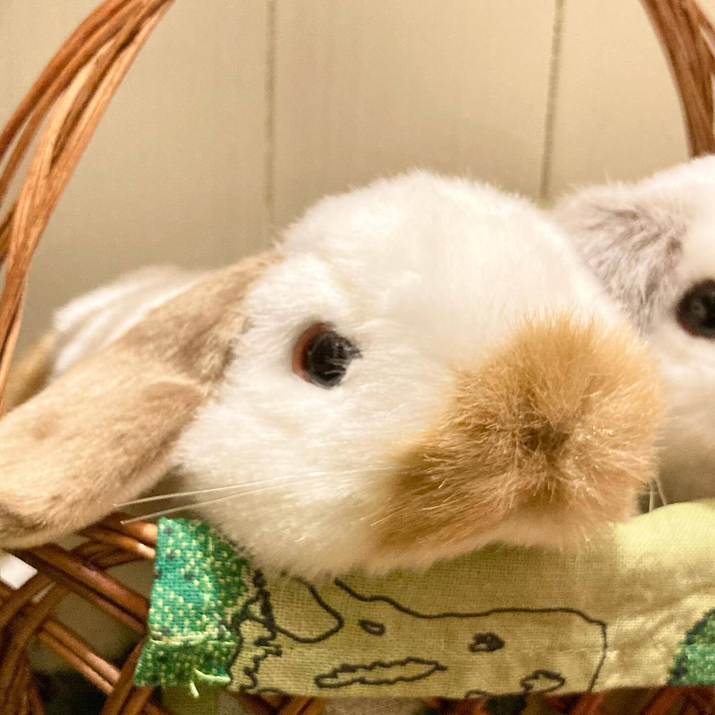 2025年ぬいぐるみプレゼントNo.1🎁吉徳のうさぎさん