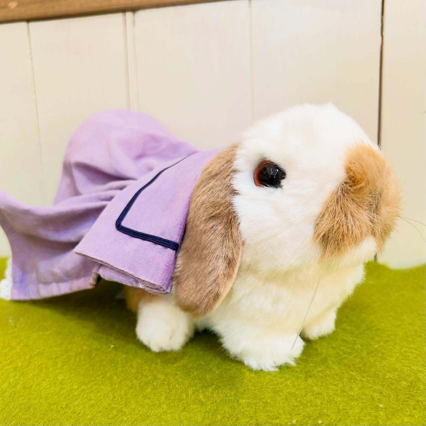 Timotessimoのうさぎ用「のせるだけドレス」とスヌード・トートバッグ