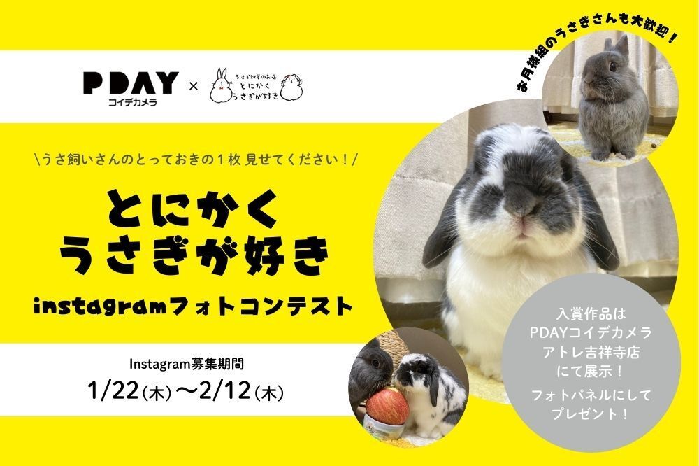 うさぎさん『Instagramフォトコンテスト』開催📸