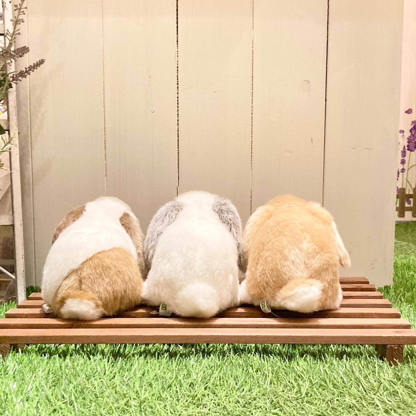 吉祥寺のうさぎ雑貨専門店『ぬいぐるみ特集 6選』