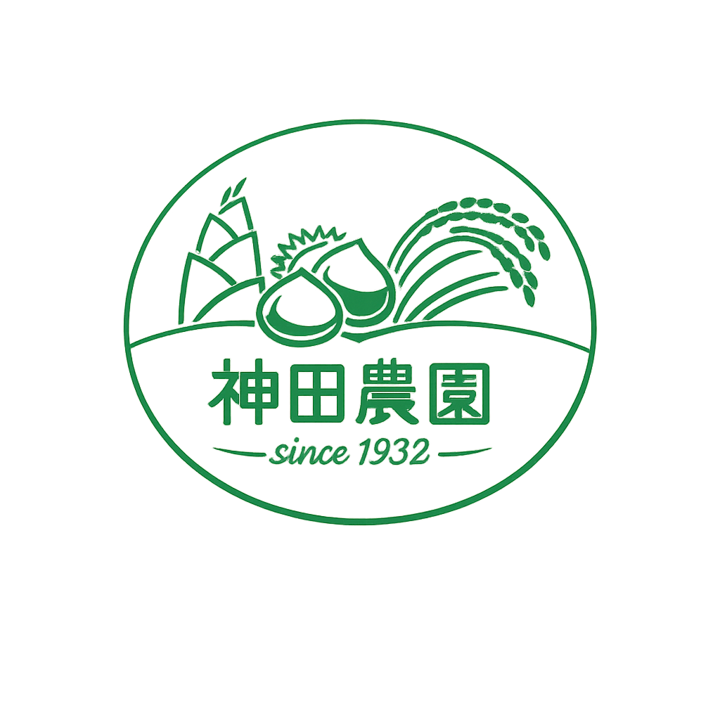 ロゴ画像