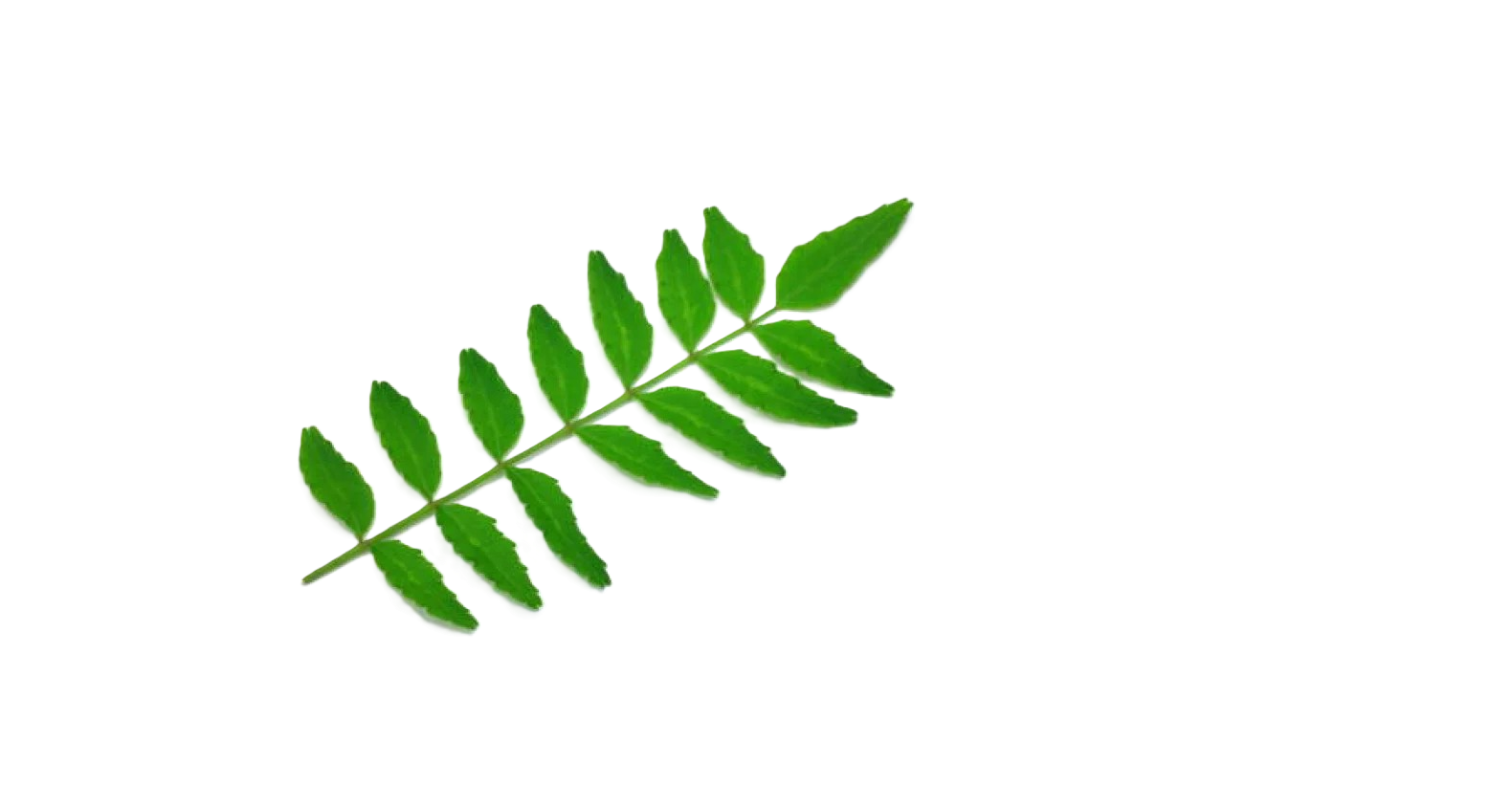 コクリハブさんと連携させていただきました。