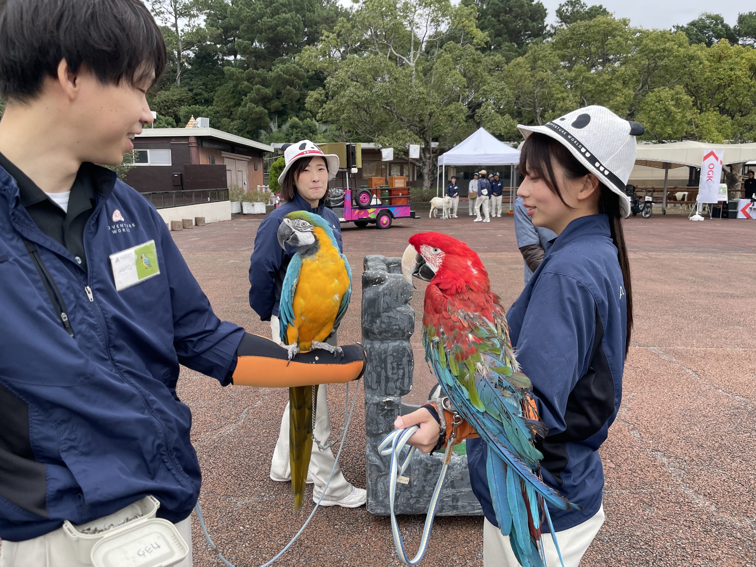 251105 アドベンチャーワールド「ドリームデイアットザズー」