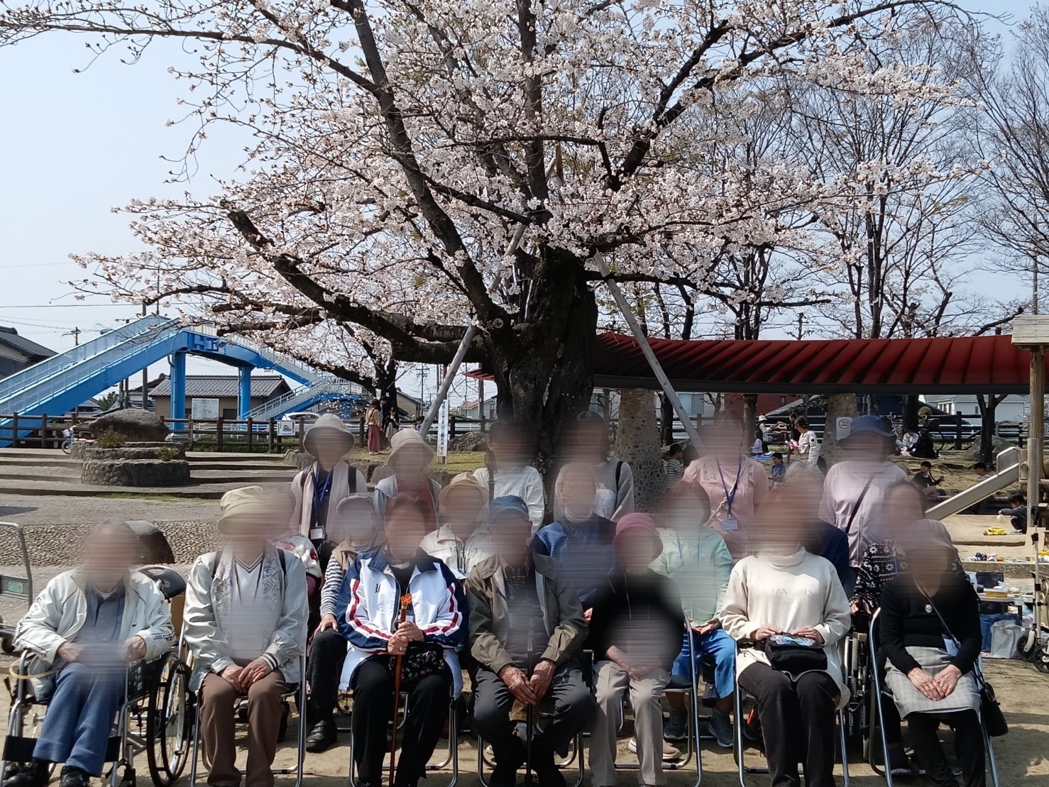 お花見イベント🌸