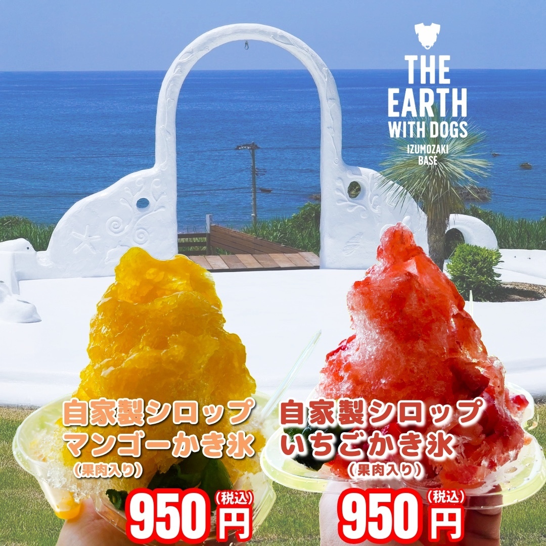 かき氷が今だけ