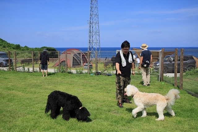 大型犬専用ドッグラン 2025年9月20日オープン！