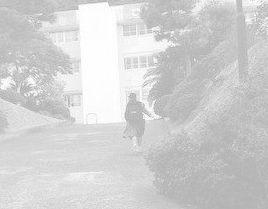 不登校が故に