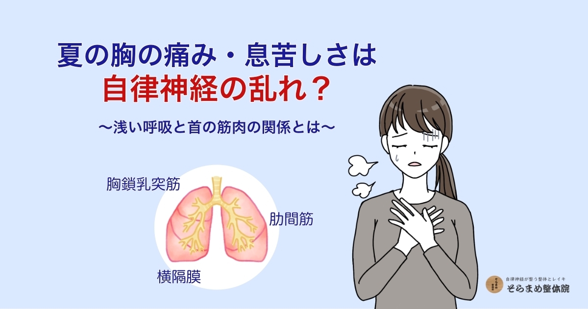 夏の胸の痛み・息苦しさは自律神経の乱れ? 浅い呼吸と首の筋肉の関係とは