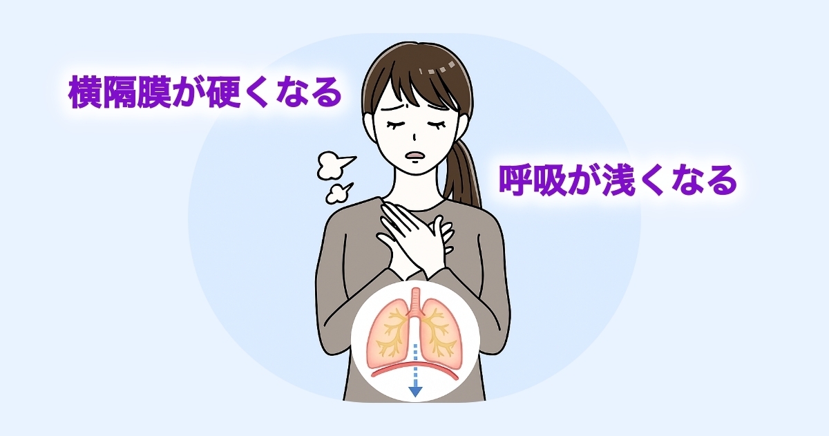 横隔膜や肋間筋が硬くなることで呼吸が浅くなり、胸の痛みや圧迫感を感じる女性のイラスト。呼吸と自律神経の関係を示す図解。