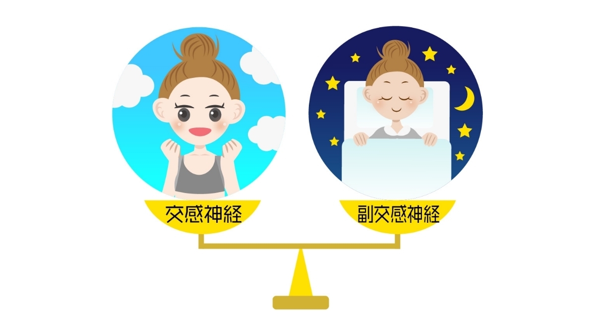 交感神経と副交感神経のバランスを表すイラスト。日中と夜のリズムを示している。