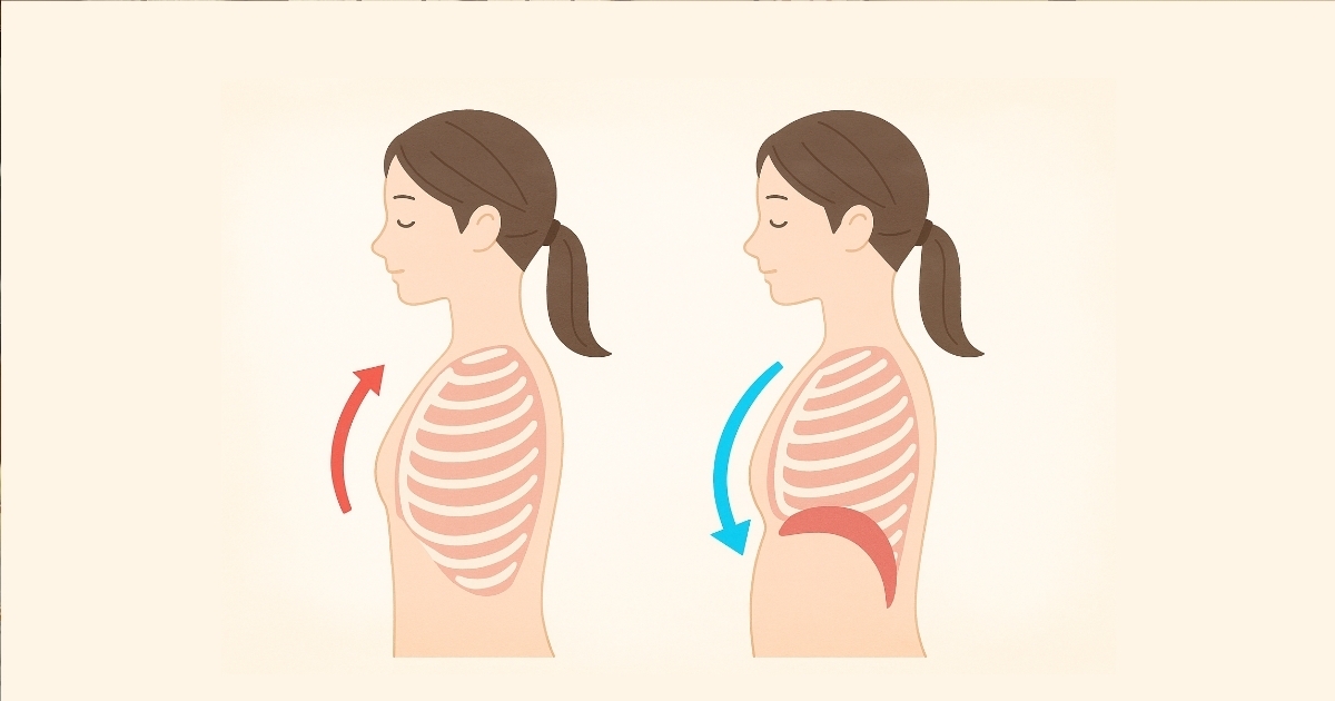 浅い呼吸と深い呼吸の違いを示すイラスト。浅い呼吸では胸の上部だけが動き、赤い矢印で短い息の流れを表現。深い呼吸ではお腹まで動き、青い矢印でゆったりとした息の流れを示している。背景はやさしい色合い。