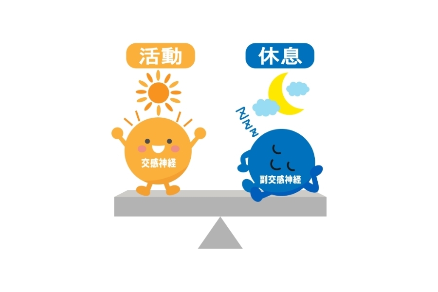 交感神経と副交感神経のバランスを示したイラスト｜活動と休息の切り替えが乱れると疲労が回復しにくくなる