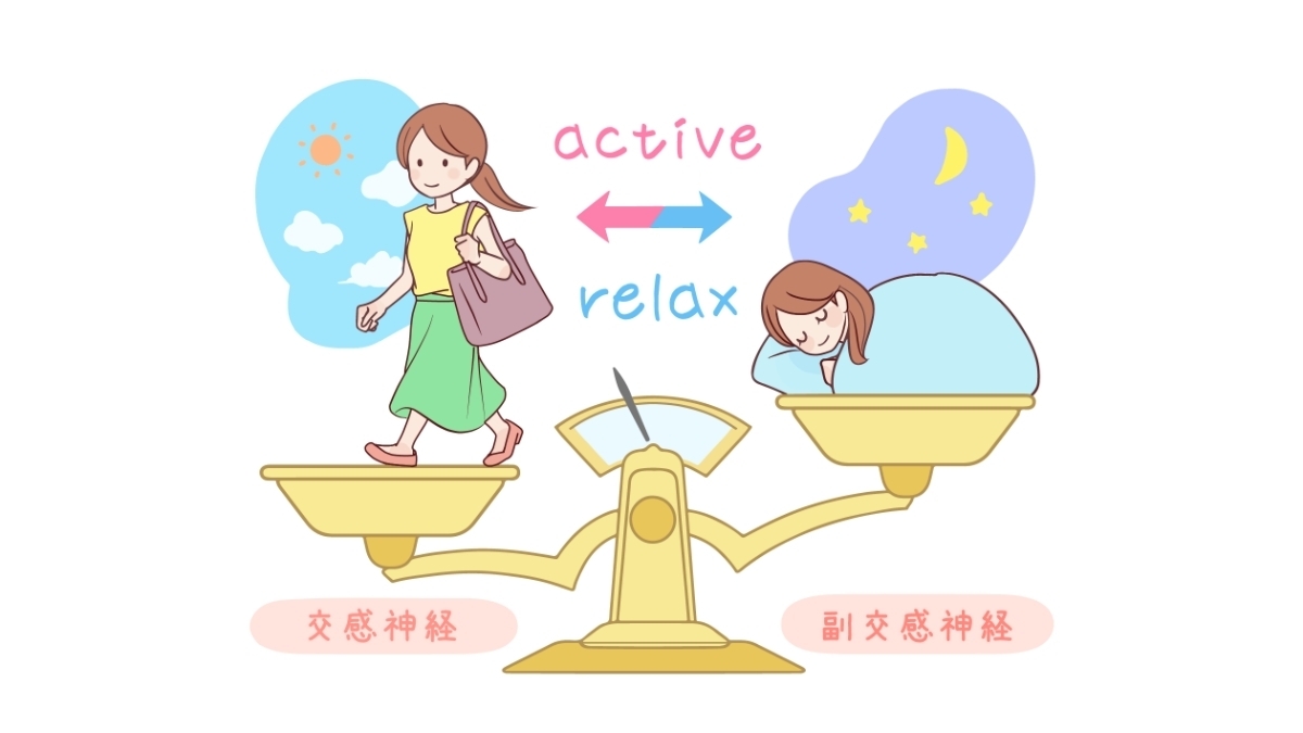 自律神経と睡眠の関係（交感神経と副交感神経）