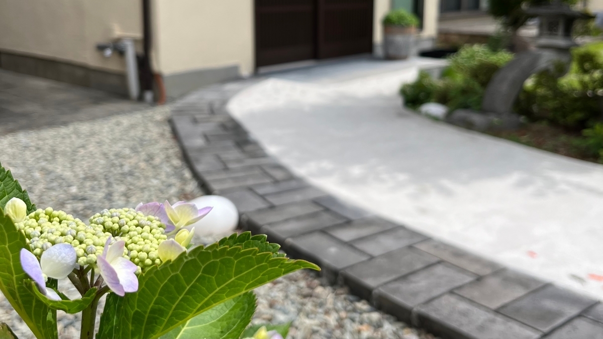 梅雨の季節に咲き始め、薄紫色の花を覗かせるアジサイの蕾のクローズアップ。背景には、そらまめ整体院の玄関へと続く通路が見える。
