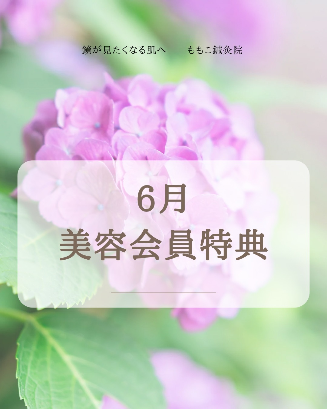6月限定ほうれい線、シワに『集中美容鍼』！！