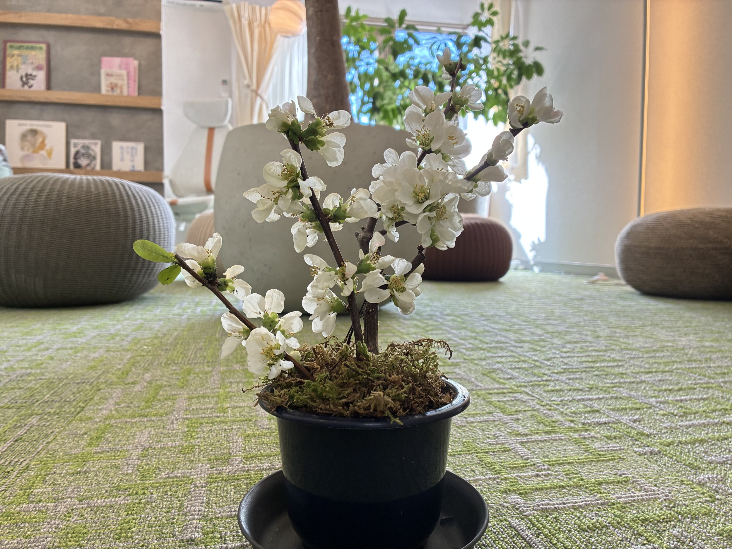 開業一周年を迎えて