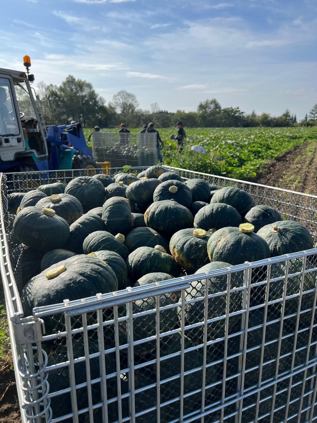 短期・スポット人材が実際どう役立っているか