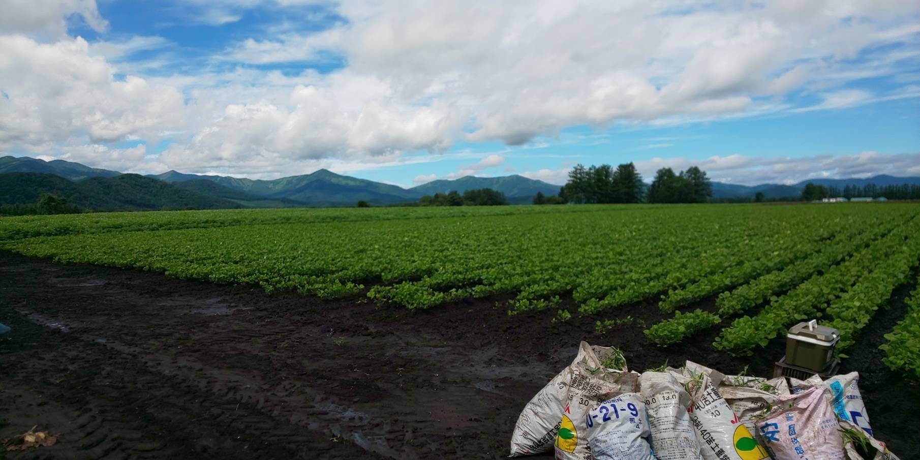 農業未経験の人でも本当に大丈夫？  ― フットスタッフが現場で見てきた答え ―