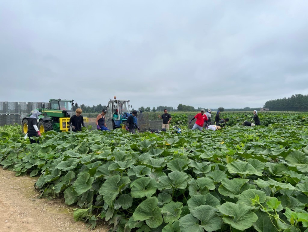 どんな人が向いていない？ 〜フットスタッフの仕事が合わないかもしれないケース〜