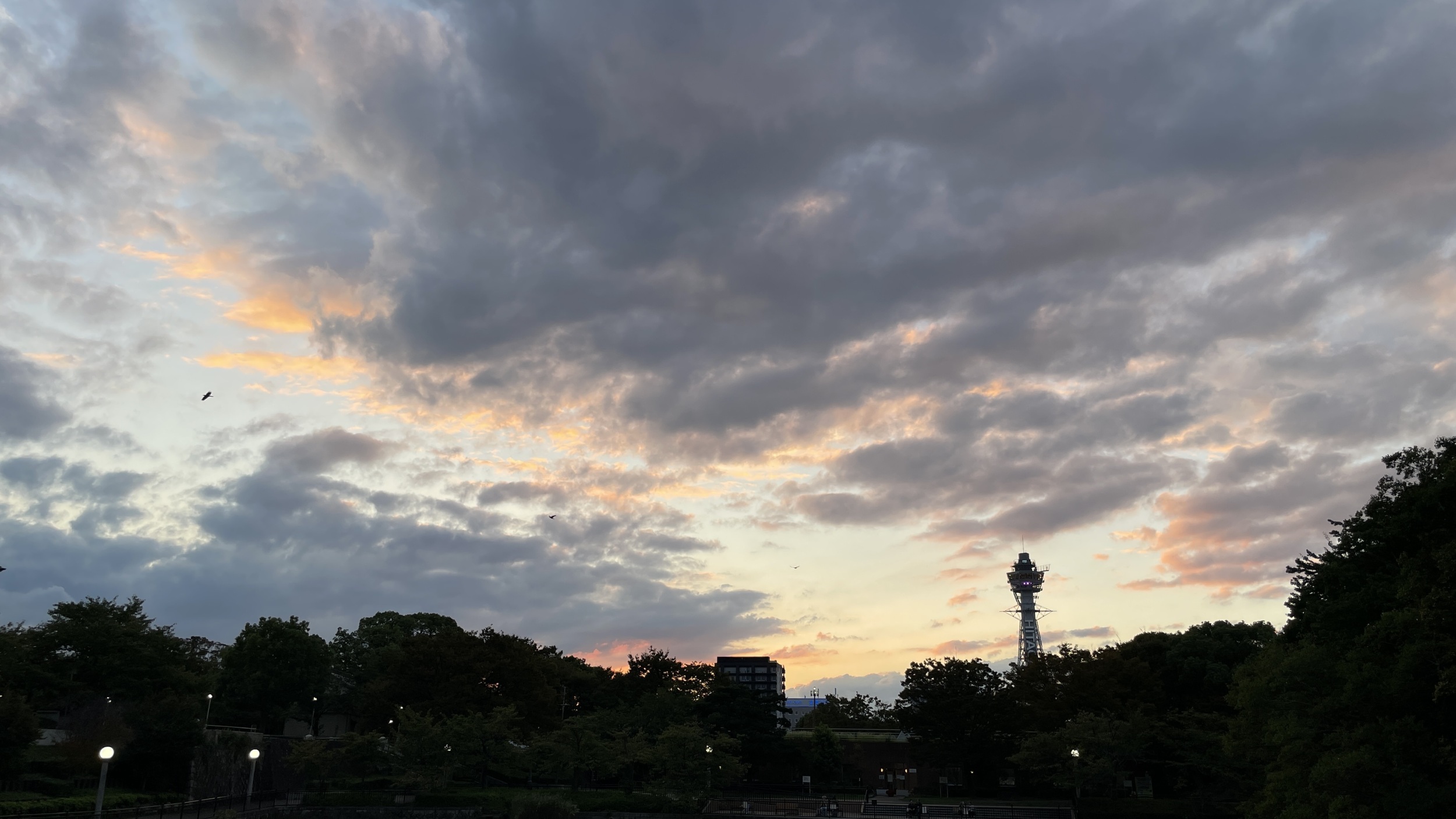 如是我聞ー目標と能力、新政策について